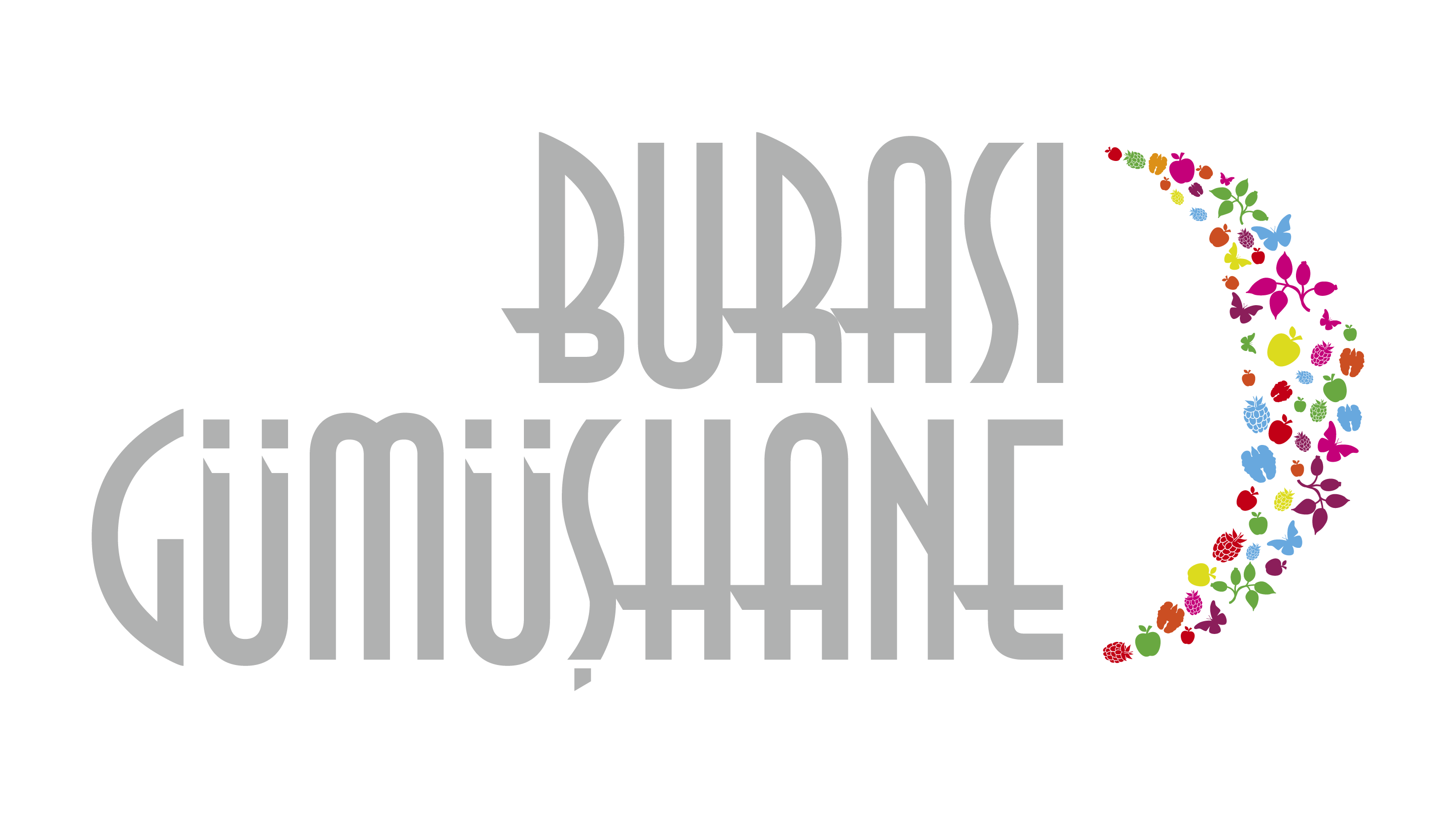 Burası Gümüşhane Logo
