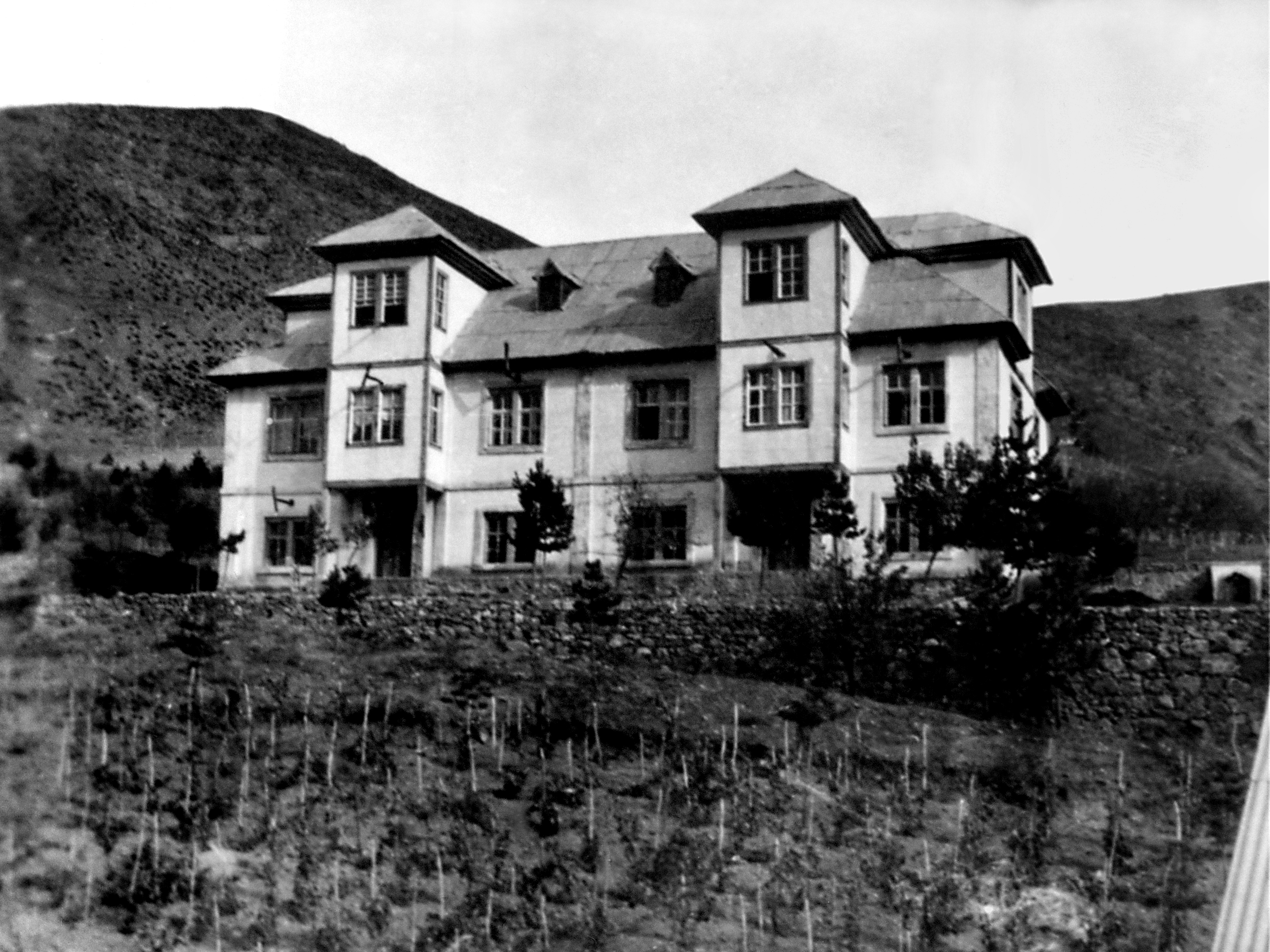 Fotoğraf