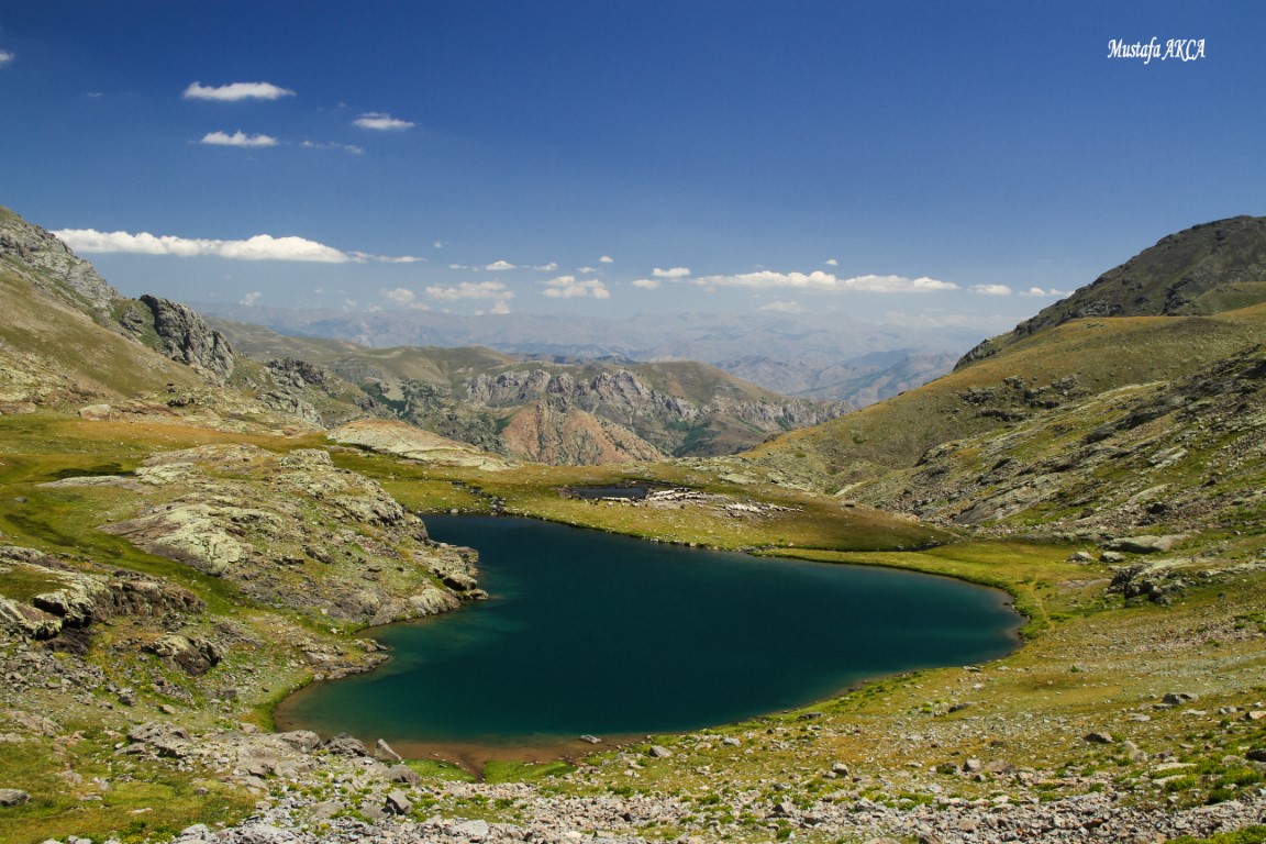 Fotoğraf