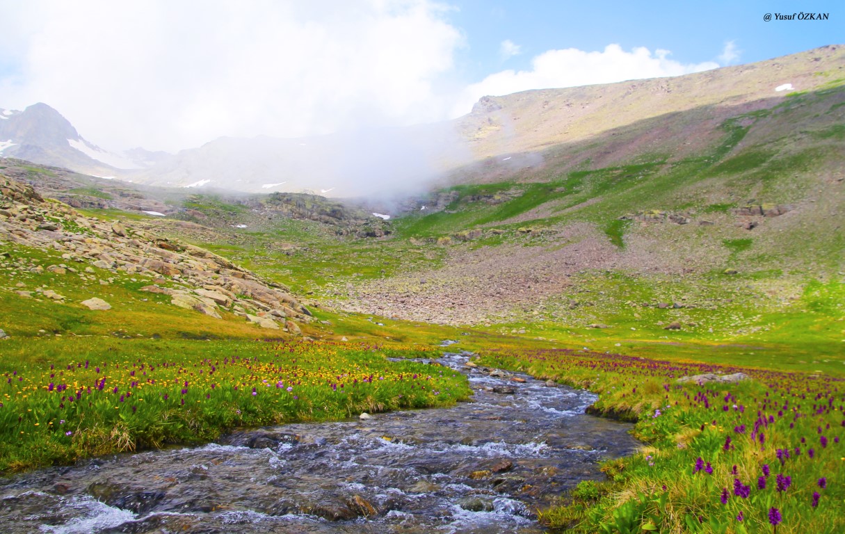 Fotoğraf