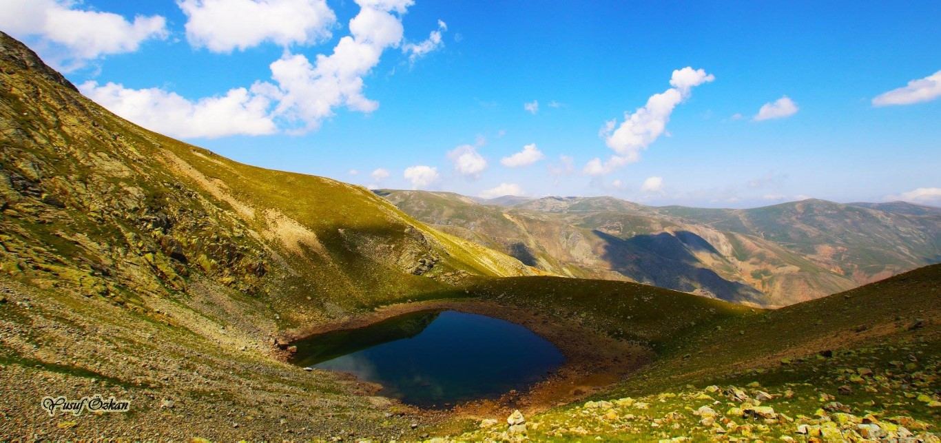 Fotoğraf