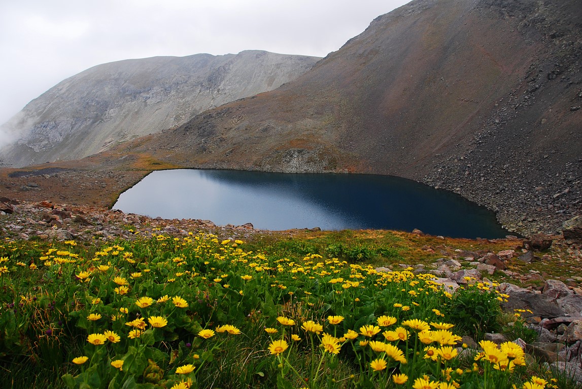 Fotoğraf