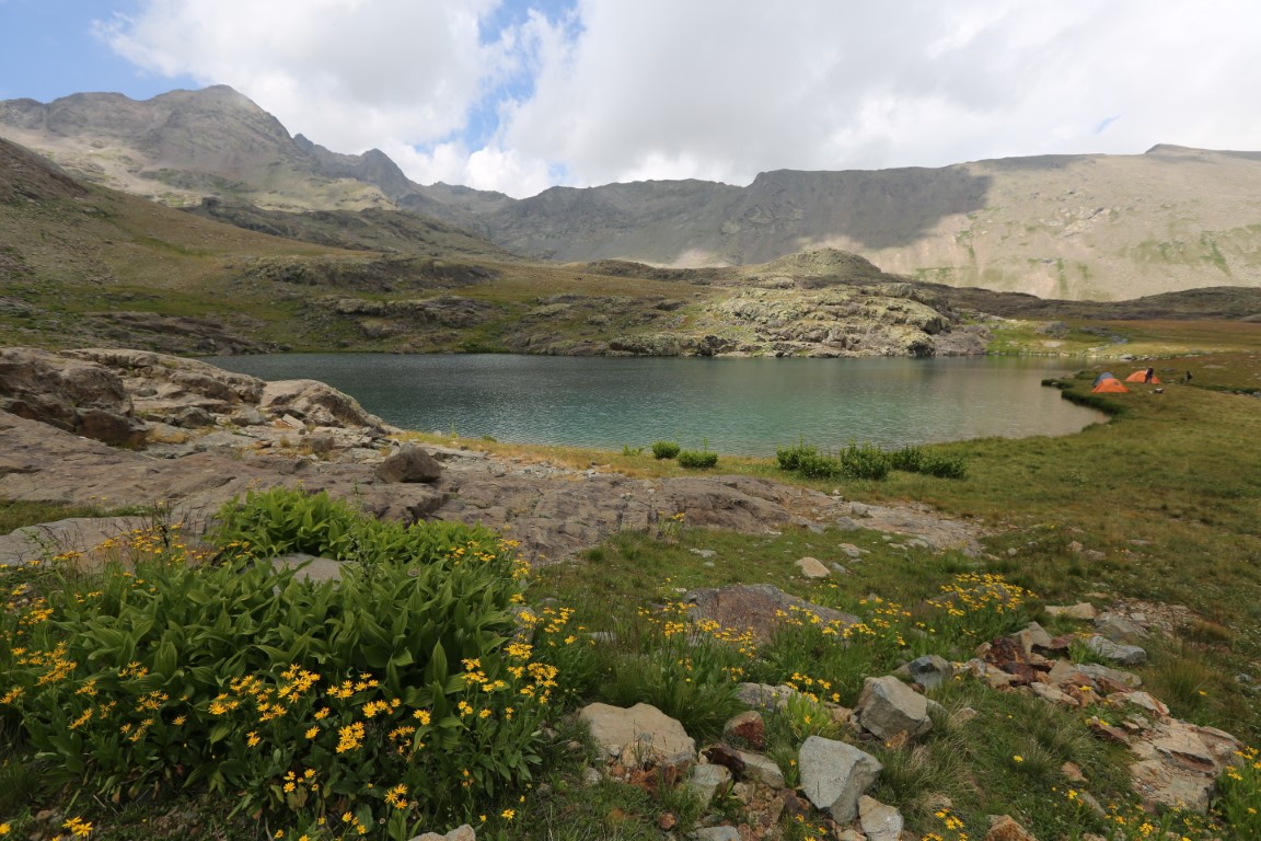 Fotoğraf