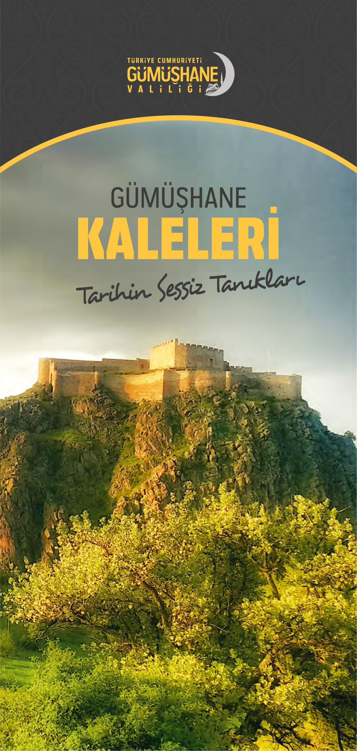 Gümüşhane Kaleleri