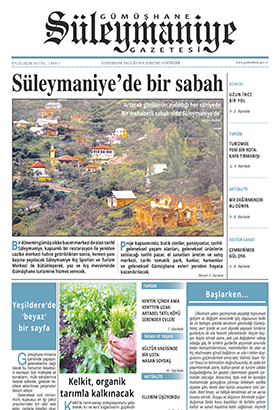 Süleymaniye Gazetesi